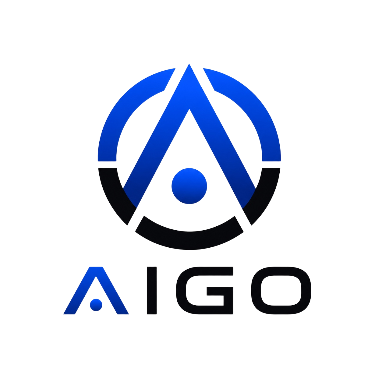 AIGO-X